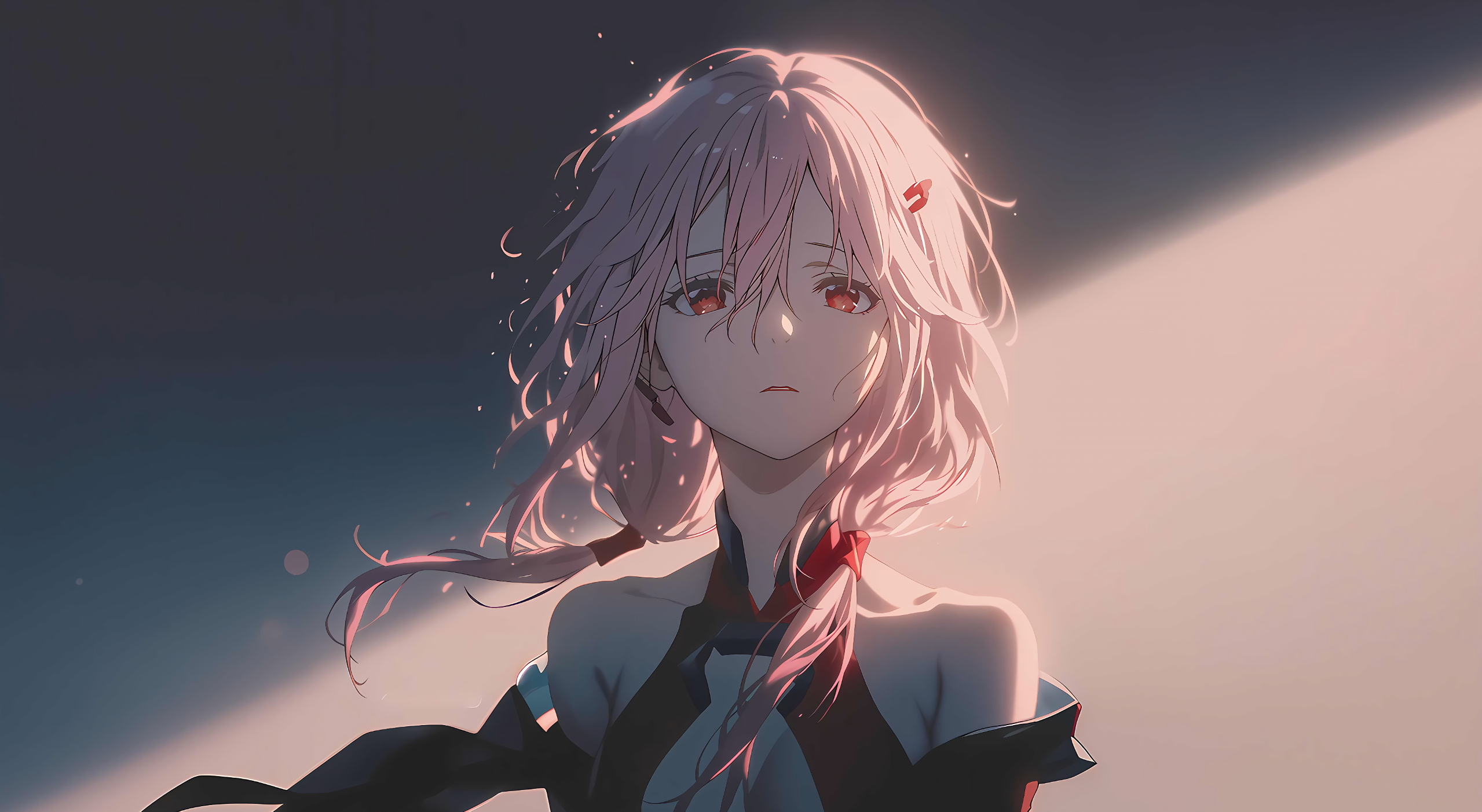 Cover Image of the Post